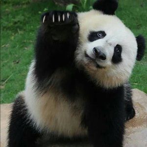 15% off Bundles of 3 or more!